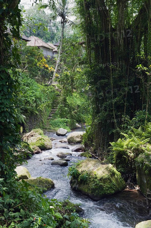 Pakrisan River flowing through the jungle of Gunung Kawi