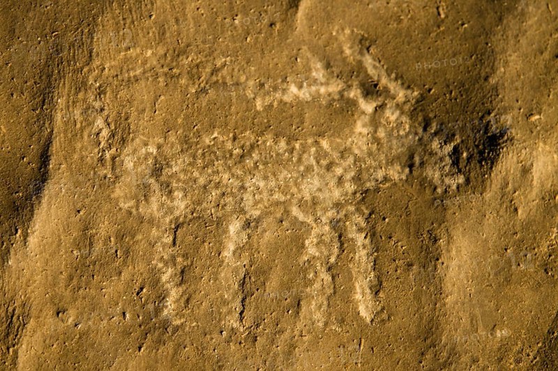 Prehistoric rock art