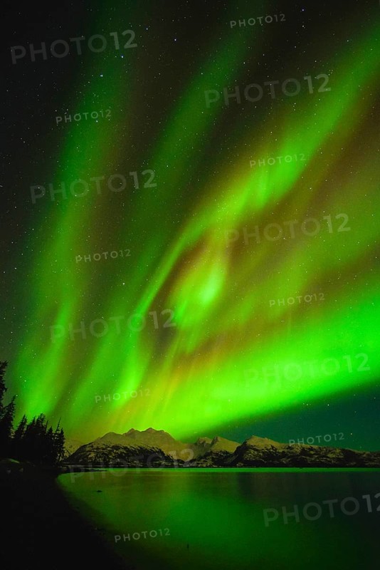 Northern lights