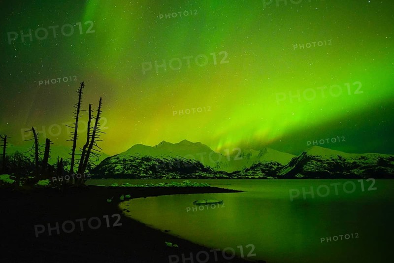 Northern lights