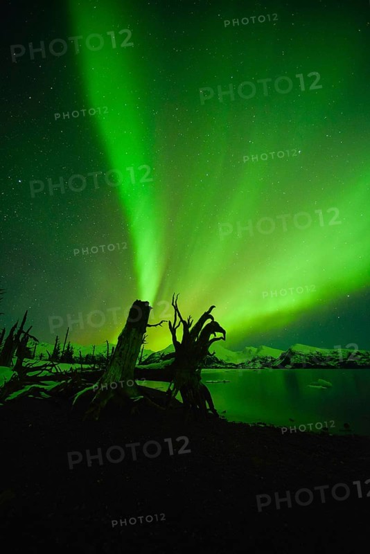 Northern lights