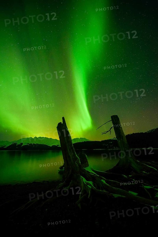 Northern lights