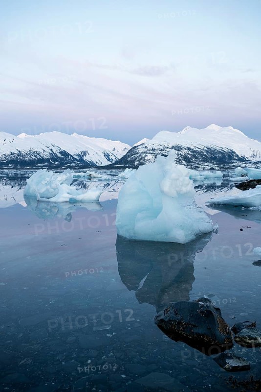 Icebergs at College Fjord