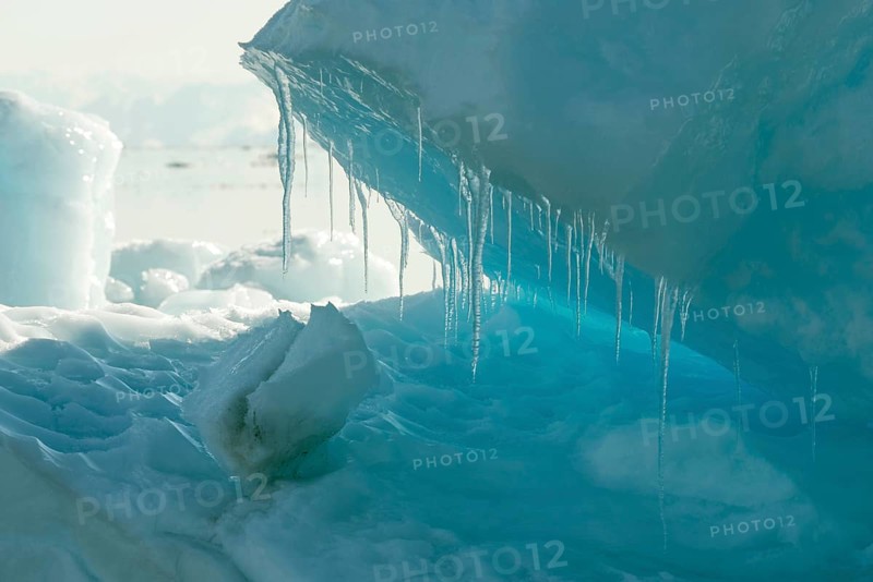 Icebergs at College Fjord