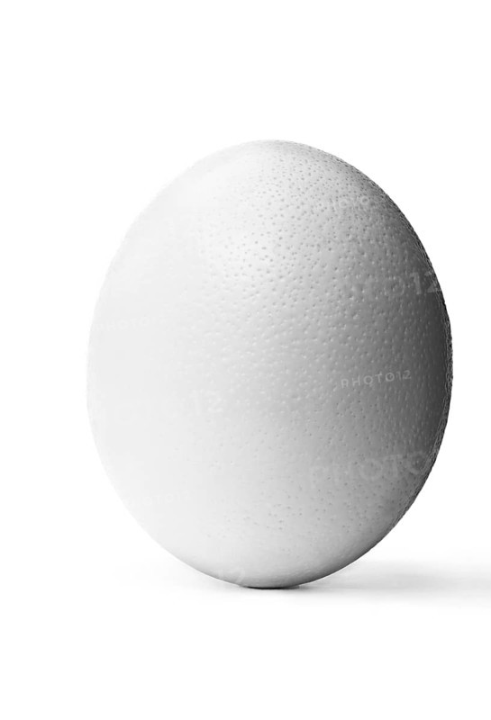 Ostrich egg