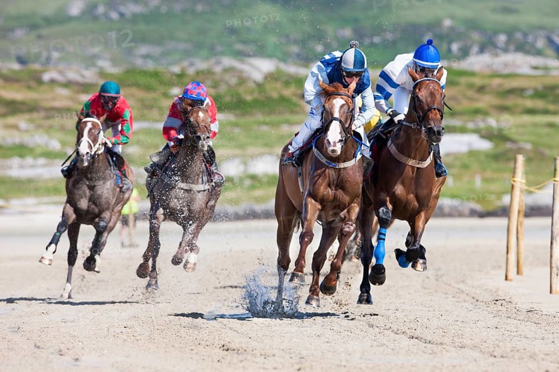 Horse racing