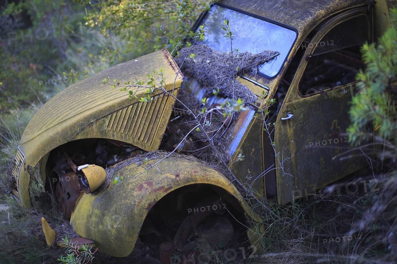 Citroen 2CV AU van