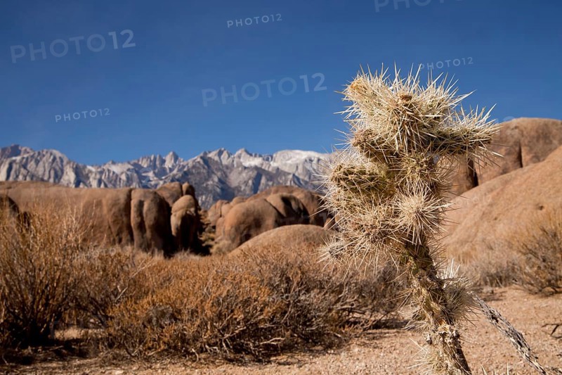 Rock formations of the Alabama Hills