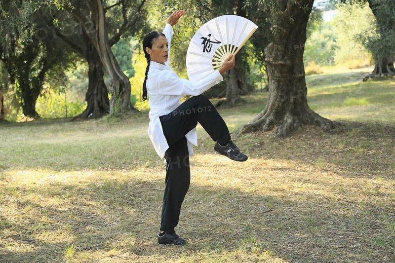 Tai Chi performed with a fan