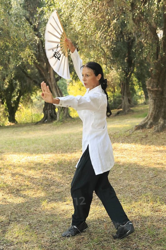 Tai Chi performed with a fan