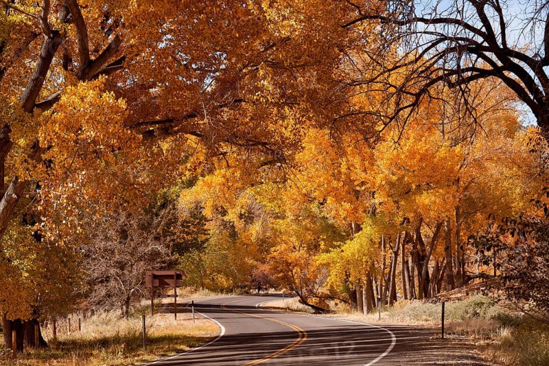 Scenic drive
