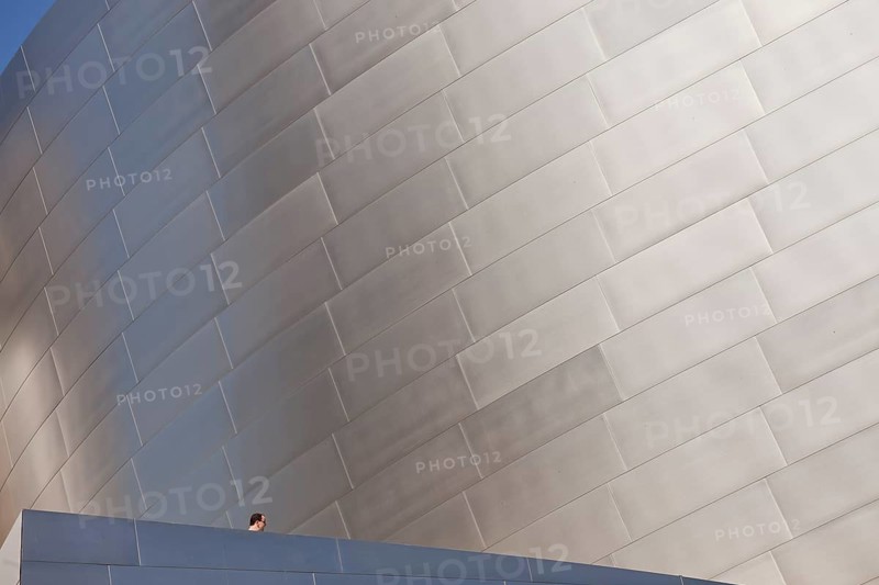 Walt Disney Concert Hall by Frank Gehry