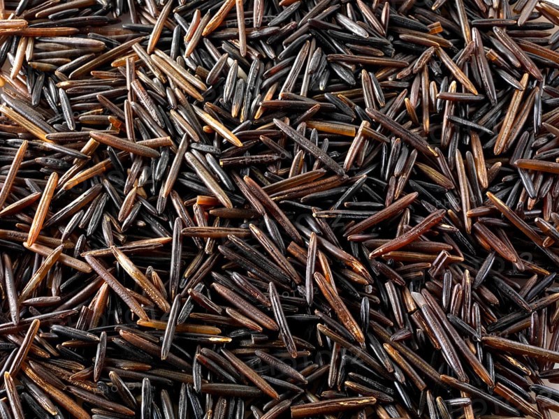 Wild rice