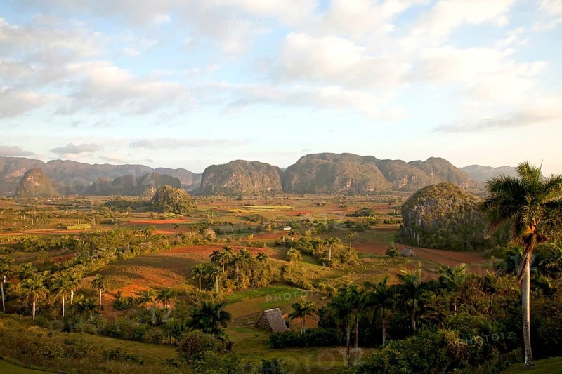 Landscape with Karst mountains and the cultivation of tobacco
