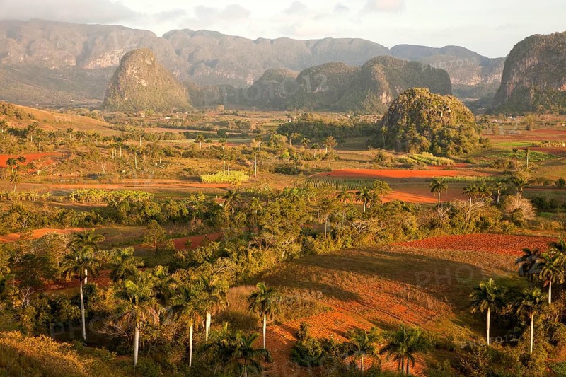 Landscape with Karst mountains and the cultivation of tobacco