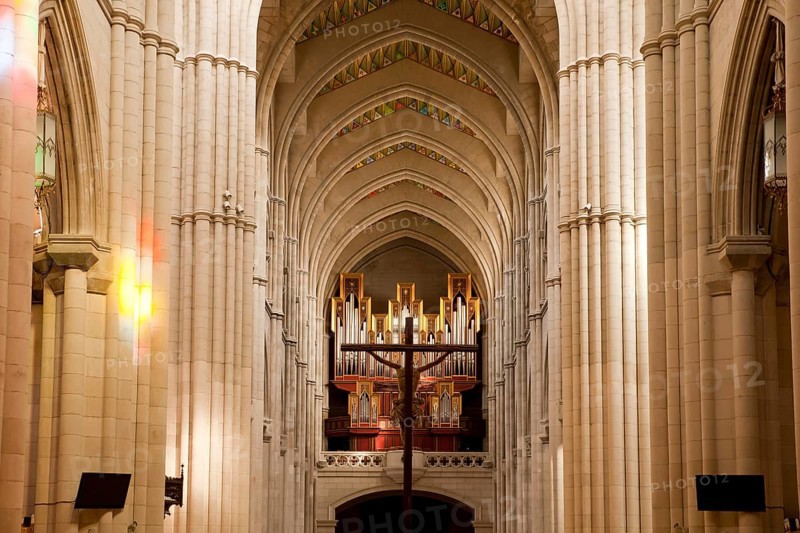 Organ