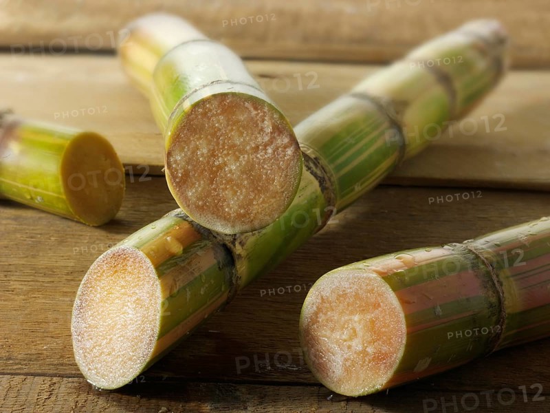 Sugarcane stalks