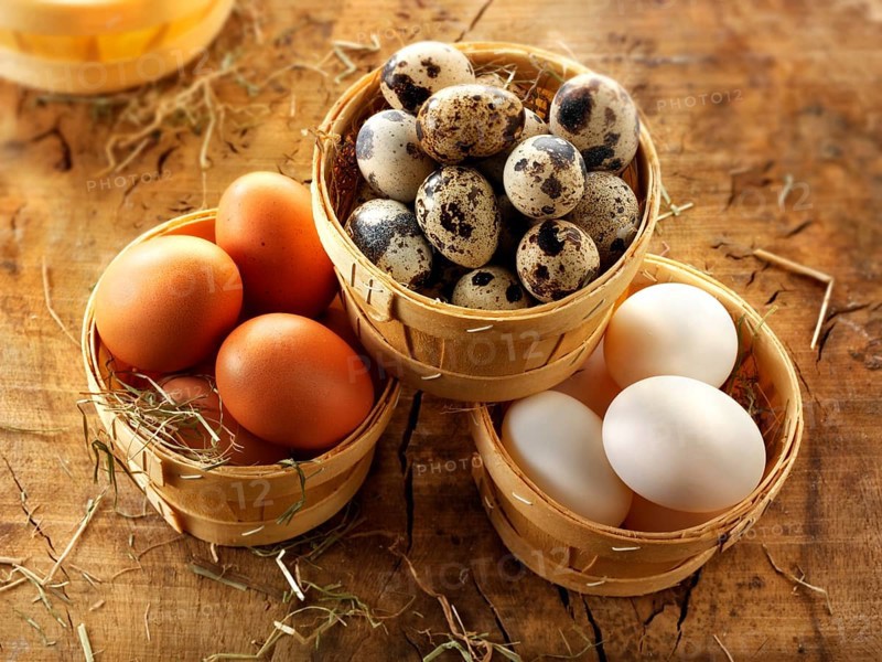 Fresh quail eggs