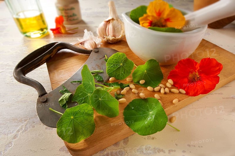 Nasturtium leaves being prepared for a salad
