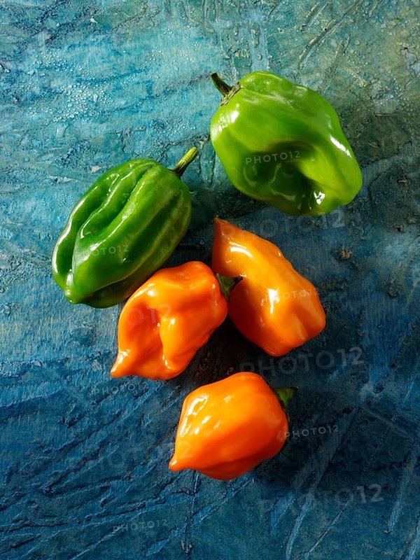 Fresh 'Scotch Bonnet' chilis