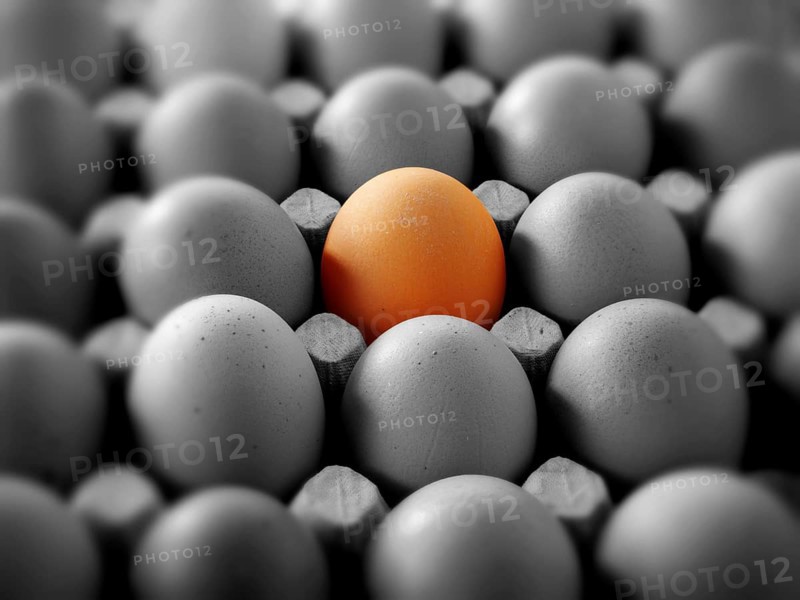 One coloured egg in a tray of black and white eggs