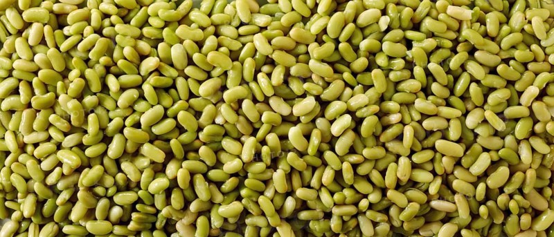 Flageolet beans