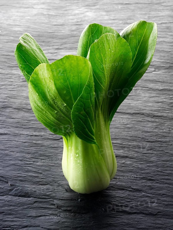 Fresh Pak Choi leaves