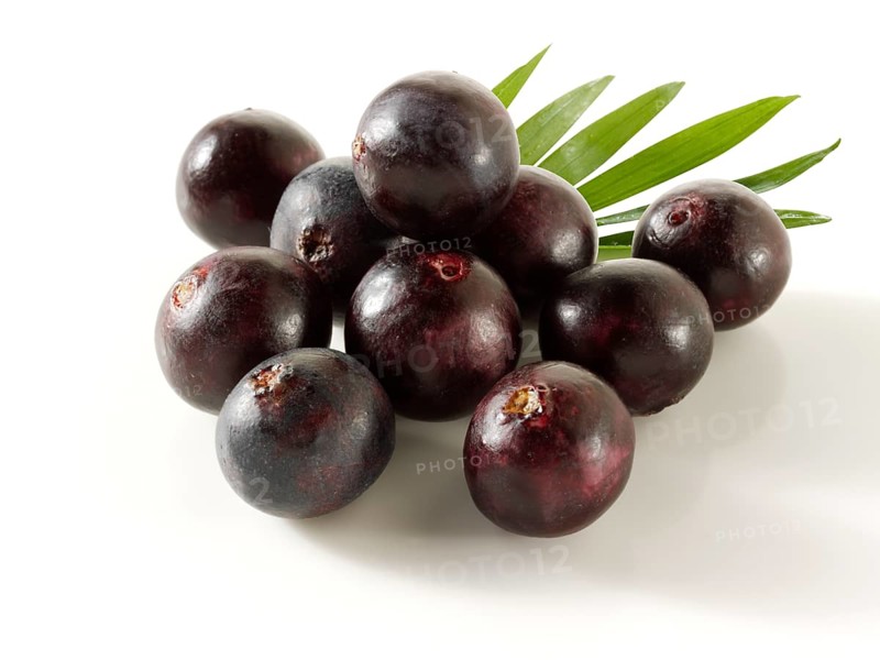 Fresh whole Acai berries (Euterpe oleracea)