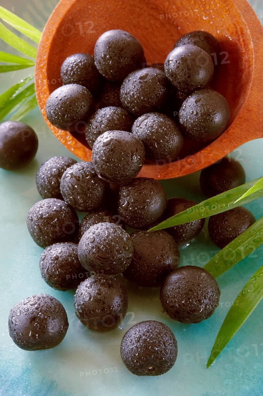Fresh whole Acai berries (Euterpe oleracea)