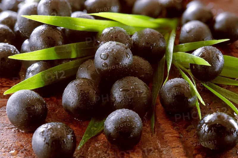 Fresh whole Acai berries (Euterpe oleracea)