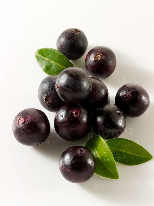 Fresh whole Acai berries (Euterpe oleracea)