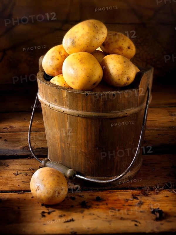 Potatoes 'Maris Piper' in a wooden bucket