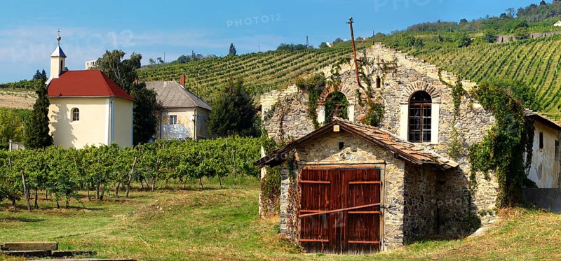 Wine cellar in the Badacsony vineyards