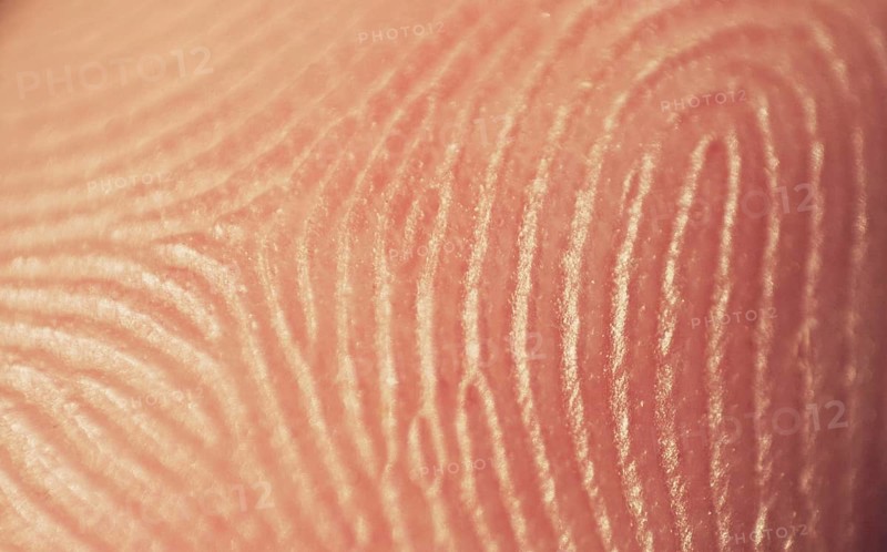 Fingerprint