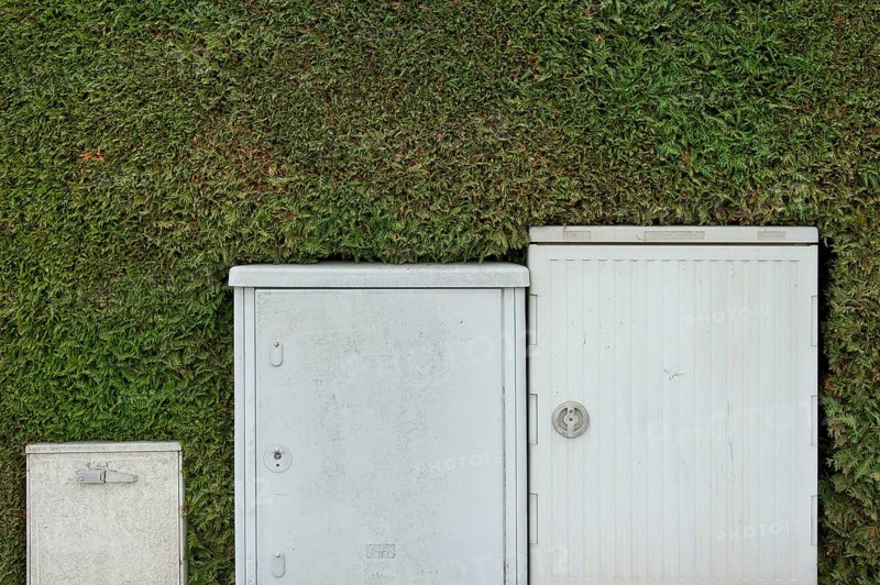 Electrical boxes and Telekom switch boxes in front of a freshly-cut hedge (Thuja)