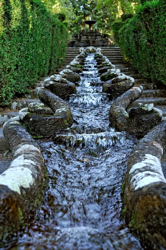 Water chain or channel of cancer