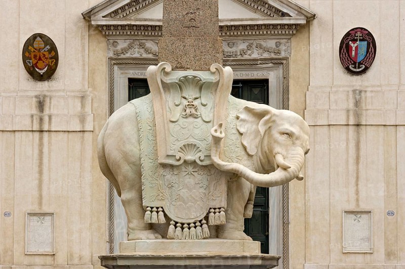 Pulcino della Minerva