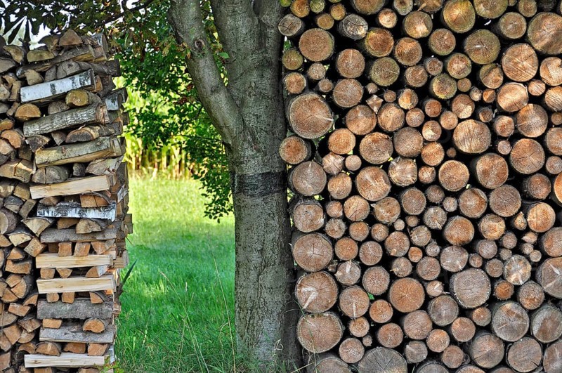 Stack of wooden logs