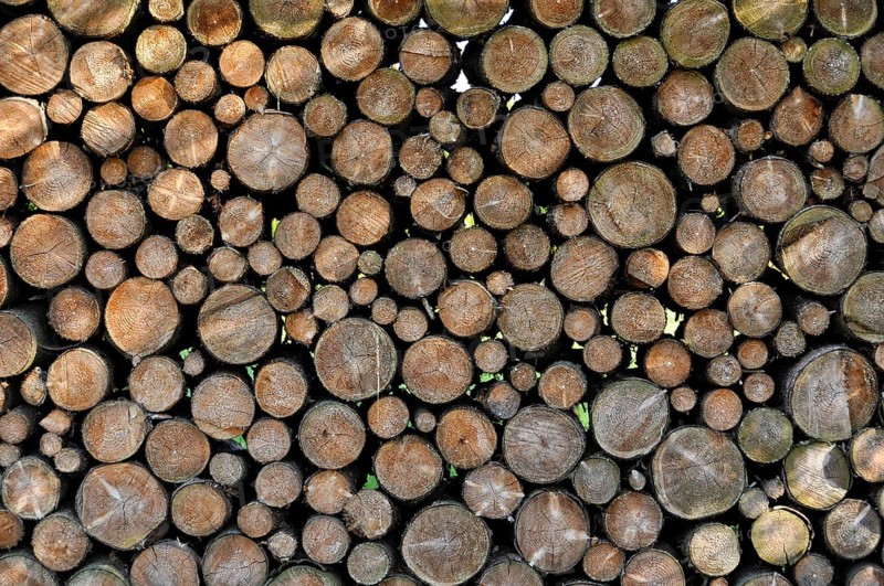 Stack of firewood