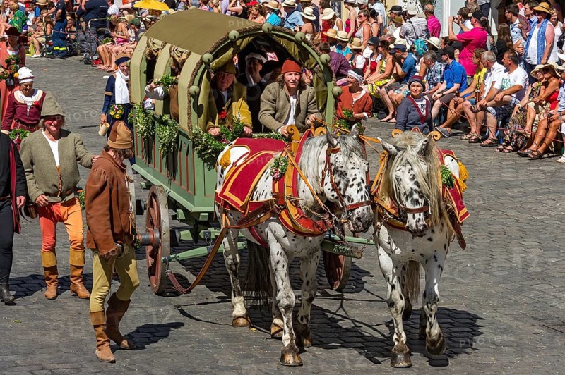 Horse-drawn covered wagon