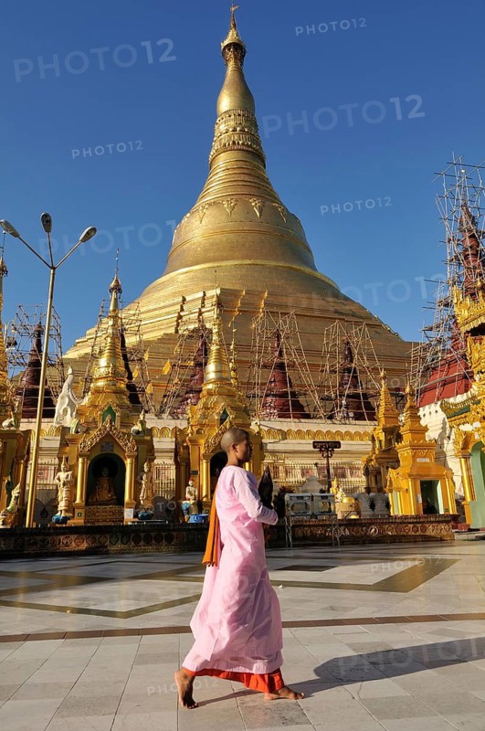 Buddhist nun in front of Shwedagon Pagoda