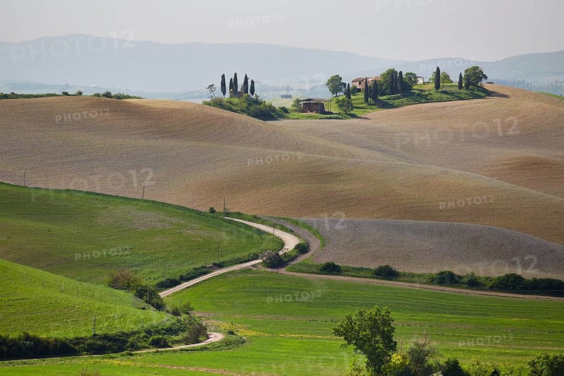 Hilly landscape of the Crete Senesi region