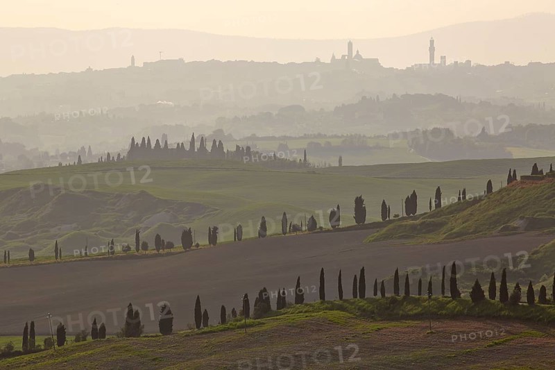 Cypress-lined roads and graded hills