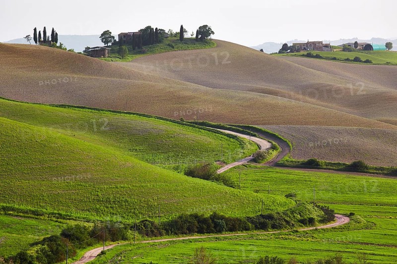 Hilly landscape of the Crete Senesi region
