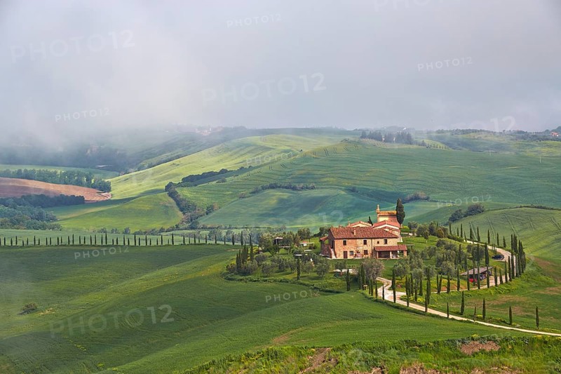 Hilly landscape around Podere Baccoleno