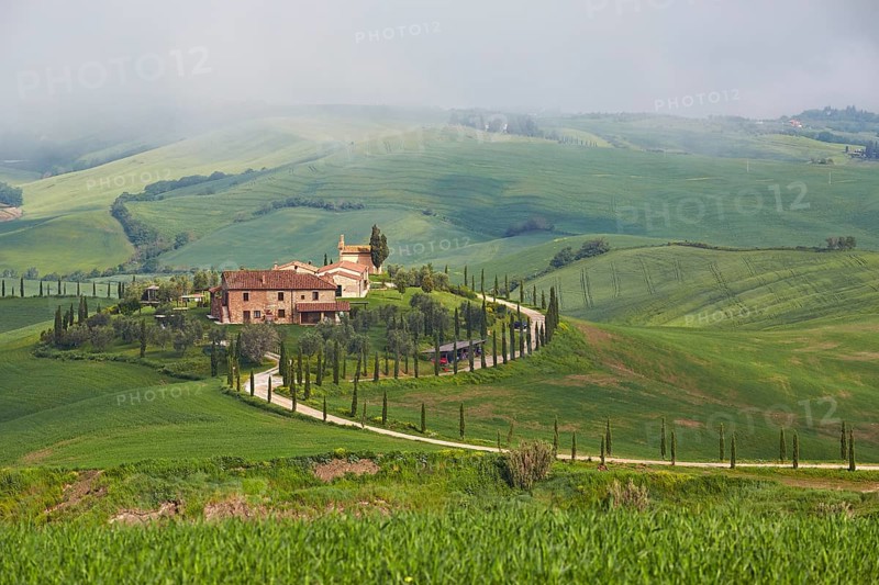 Hilly landscape around Podere Baccoleno