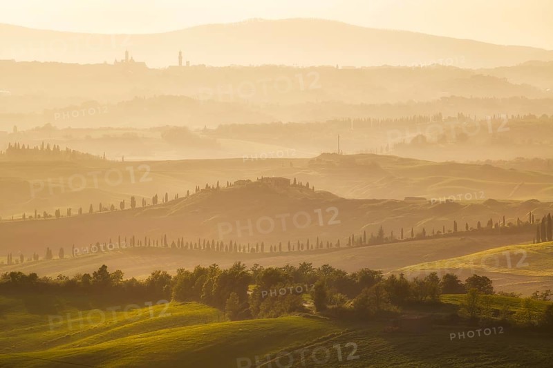 Cypress-lined roads and graded hills