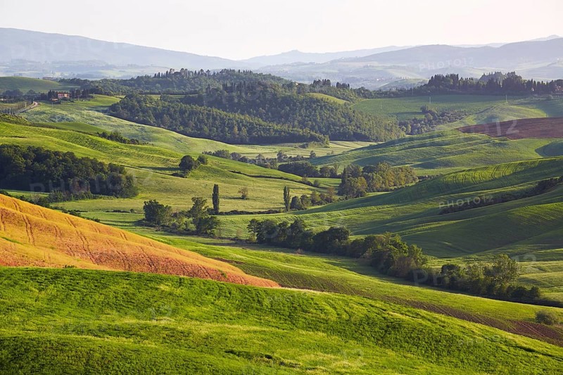 Hilly landscape of the Crete Senesi region