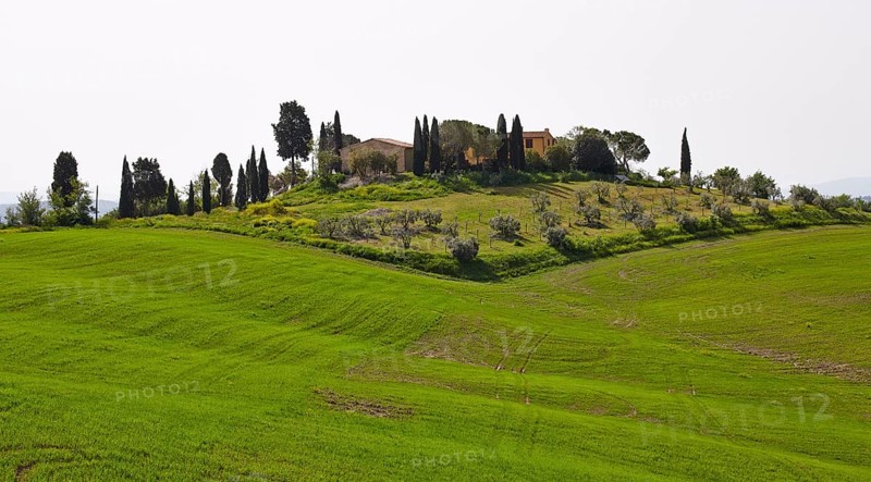 Estate with a garden and a surrounding field