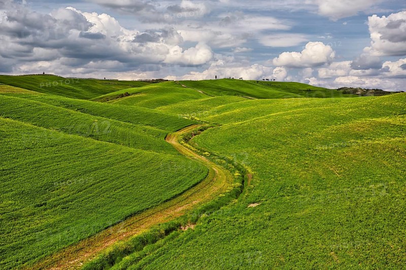 Hilly fields in the Crete Senesi region